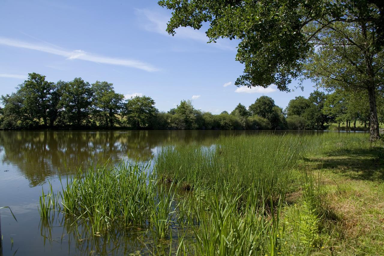 La Maison Du Lac Thionne Eksteriør bilde